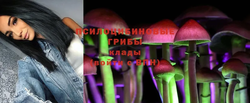 хочу   MEGA сайт  Псилоцибиновые грибы Psilocybe  Кимры 